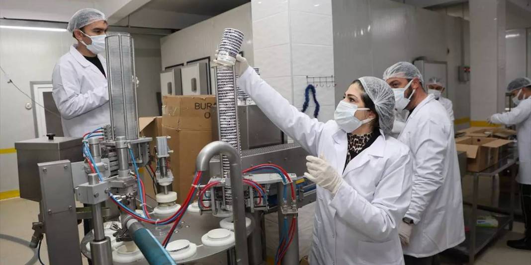 Pazarlamacı olarak başladı 17 yıl sonra tesisini kurdu: Yılda 700 ton üretim yapıyor 6